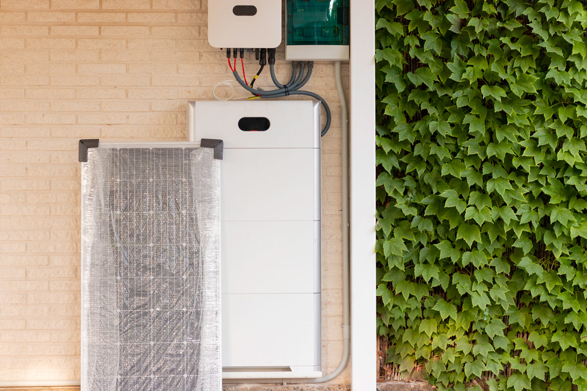 Electrical system for solar energy installation with solar panel, battery and inverter with vegetation plants on one side